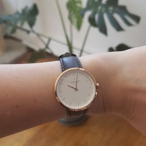 Bestselling Danish Watch - Nordgreen Infinity Rose